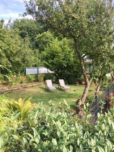 Ostseebungalow Haninghuus 蒂德雷克沙恩 外观 照片